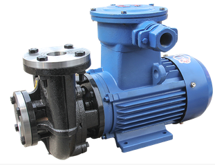 怎样维修护热油泵